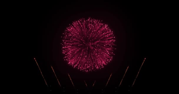 この爆発花火のテキストメッセージで祝うための時間 カラフルなオープナーやビデオより近いあなたを願っています高品質の4K映像で新年 — ストック動画