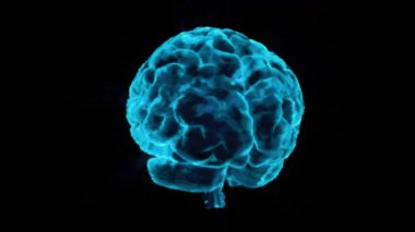 Karanlık Arkaplanda İç Işık Darbeleriyle Holografik Mavi Dönen Beyin, Dijital Tarama Efekti ve Dönen 3D Görselleştirme ile Bilimsel Yapay Fütürist Animasyon. Yüksek kalite 4k görüntü