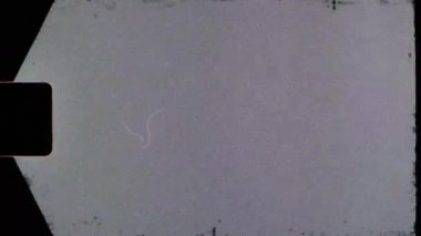 Super-8 Projektör Tahıl Deliği, Işık Sızıntıları ve Retro Analog Dokusuyla 8mm Film Strip Overlay Filtresi. Yüksek kalite 4k görüntü