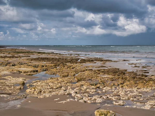 stock image Robin Friend - an area of chalk exposed at low tide near Sheringham on the North Norfolk Coast. The bedrock is of Lewes Nodular, Seaford, Newhaven, Culver and Portsdown Chalk Formations.