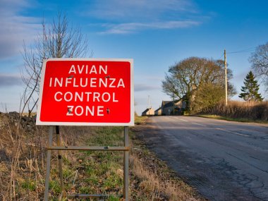 Yol kenarındaki kırmızı uyarı levhası okuyucunun kuş gribi kontrol bölgesine girdiği konusunda uyarıda bulunuyor. Kış güneşinde Derbyshire, İngiltere 'de mavi bir gökyüzü ile çekildi..