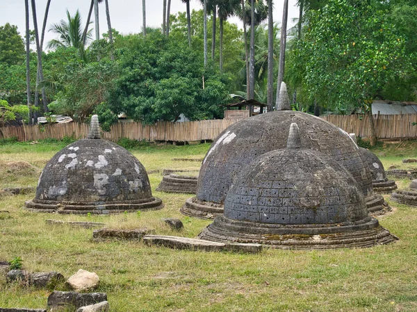 Halfbolvormige Kalkstenen Domes Van Stoepa Kandarodai Bij Jaffna Het Noorden — Stockfoto