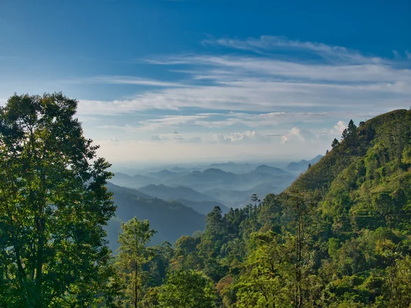 Возле Эллы Шри Ланки Утренний Вид Через Облачный Лес Чайные — стоковое фото