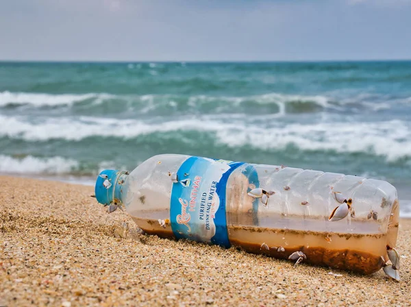 Una Botella Agua Plástico Con Mariscos Adjuntos Lavados Una Playa — Foto de Stock