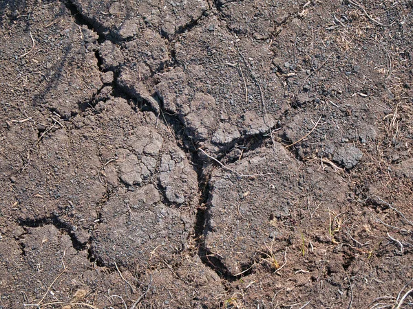 スコットランド スコットランドのアウター ヘブライズ島のスカルピエ島で乾燥した泥炭の湿地 大雨のない異常に乾燥した暖かい天候の延長期間の結果 — ストック写真