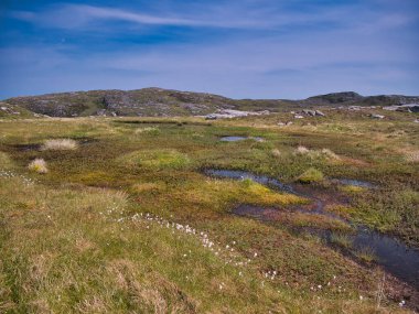 Lewis 'in kuzey batı kıyısındaki Outer Hebrides, İskoçya' da Bernera adasında (Büyük Bernera) el değmemiş turba oluşumu. Yazın güneşli bir günde mavi gökyüzü ile çekildi..