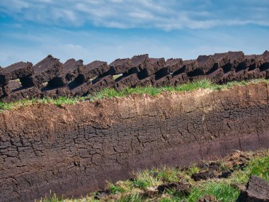 Taze kesilmiş turba kütleleri, turba tabanındaki bir çukurun üzerinde dizilmiş ve kuruması için güneşin altında yatıyordu. Yazın güneşli bir günde İskoçya 'nın Outer Hebrides şehrinde çekildi..