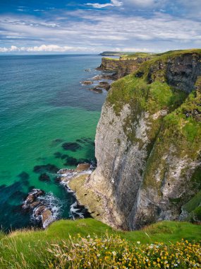 High coastal cliffs on the Antrim Coast, near Giant's Causeway, Northern Ireland. The ruins of Dunluce Castle appear in the background. Taken on a sunny day in summer. clipart