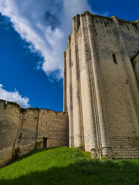 Stock image Loches, France - Apr 28 2024: The buildings of the Donjon (Castle  Keep) at the Royal City of Loches in the Loire Region of France. Taken on a sunny day with a blue sky and white clouds.