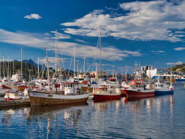 Bodo, Norveç - 17 Haziran 2024: Norveç kıyısındaki Bodo 'ya demirlemiş balıkçı tekneleri. Yazın güneşli bir günde çekilmiş..