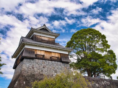 Kumamoto, Japonya - Ekim 2024: Güney Japonya 'daki Kyushu adasındaki Kumamoto Kalesi. Kale önemli deprem hasarı sonrasında yeniden inşa edildi..