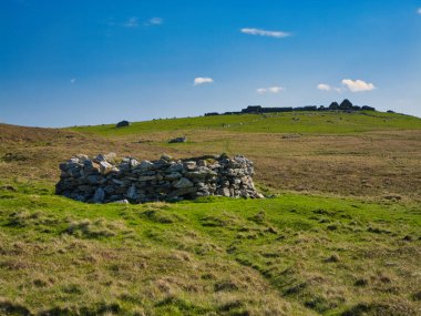 Terk edilmiş binalara ve Collaster, Unst, Shetland 'daki yuvarlanan tepelere karşı yıpranmış taş duvarları olan engebeli bir bitki örtüsü..