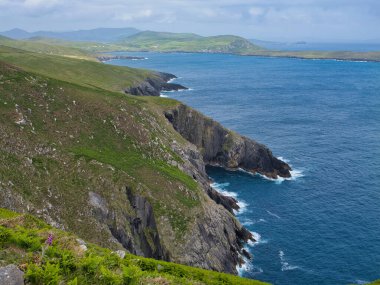 İrlanda, Dursey Adası 'ndaki engebeli deniz kayalıklarının nefes kesici manzarası, yemyeşil manzaralar ve uçsuz bucaksız Atlantik Okyanusu tarafından destekleniyor..