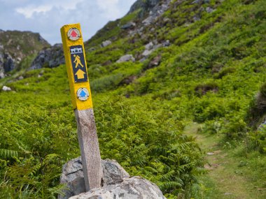 Koyun Kafası, İrlanda - Haziran 02: 2025 Koyun Başı Yolu, İrlanda 'da verimli bir patika tabelası gezginleri keşfetmeye davet ediyor.. 