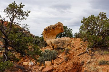 Baharda Utah, Fruita yakınlarındaki Capitol Resif Ulusal Parkı 'nda kaya oluşumu. Seçici odak, arkaplan bulanıklığı ve ön plan bulanıklığı.