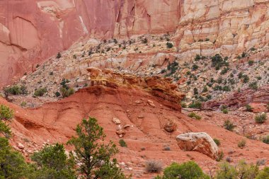 Baharda Utah, Fruita yakınlarındaki Capitol Resif Ulusal Parkı 'nda kaya oluşumu. Seçici odak, arkaplan bulanıklığı ve ön plan bulanıklığı.