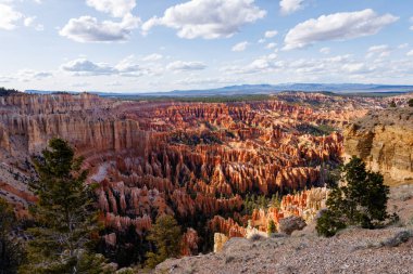 Baharda Utah 'taki Bryce Kanyonu Ulusal Parkı' nda Bryce Point yakınlarındaki Rim Trail 'den manzara.