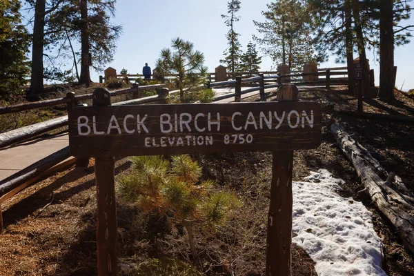 Czarny Kanion Brzozy Znak Parku Narodowym Bryce Canyon Utah Wiosną Zdjęcie Stockowe