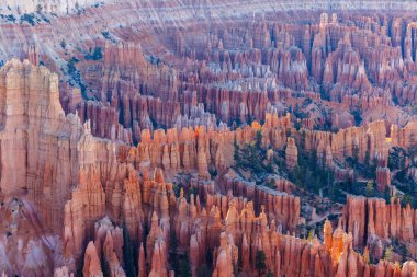 Bryce Canyon Overlook 'un Utah' taki Bryce Canyon Ulusal Parkı 'ndaki kaya oluşumları ve serserileri..