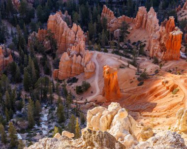 Bryce Canyon Overlook 'un Utah' taki Bryce Canyon Ulusal Parkı 'ndaki kaya oluşumları ve serserileri..