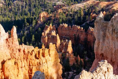 Bahar boyunca Utah 'taki Bryce Canyon Ulusal Parkı' ndaki Queens Garden Trail 'den kaya oluşumları ve serseriler..