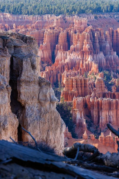 Formaciones Rocosas Hoodoos Rim Trail Parque Nacional Bryce Canyon Utah —  Fotos de Stock