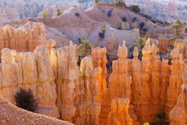 Baharda Utah 'taki Bryce Canyon Ulusal Parkı' ndaki Peri Diyarı Kanyonu 'ndan kaya oluşumları ve serseriler..