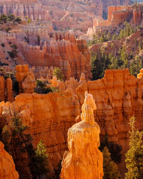 Formaciones Rocosas Hoodoos Del Cañón Fairyland Parque Nacional Bryce Canyon —  Fotos de Stock