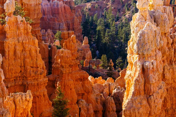 Formations Rocheuses Hoodoos Canyon Fairyland Dans Parc National Bryce Canyon — Photo