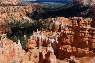 Bahar boyunca Utah 'taki Bryce Canyon Ulusal Parkı' ndaki Rim Trail 'den kaya oluşumları ve serseriler.