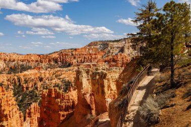 Bahar boyunca Utah 'taki Bryce Canyon Ulusal Parkı' ndaki Rim Trail 'den kaya oluşumları ve serseriler.