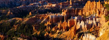 Bahar boyunca Utah 'taki Bryce Canyon Ulusal Parkı' ndaki Rim Trail 'den kaya oluşumları ve serseriler.