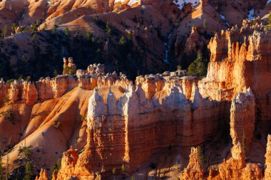 Bahar boyunca Utah 'taki Bryce Canyon Ulusal Parkı' ndaki Rim Trail 'den kaya oluşumları ve serseriler.