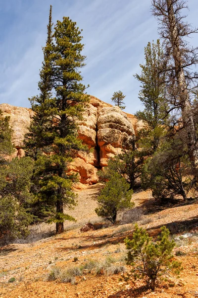 Butch Cassidy yakınlarında kaya oluşumu 12. otoyolda, Utah 'ın güneyinde.