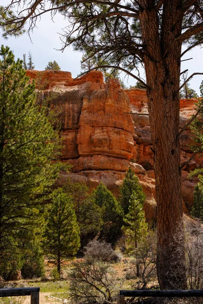 Güney Utah 'taki 12. otoyolda bulunan Red Canyon ve Cassidy Trailhead' e bakın.