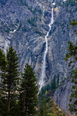 Yosemite Vadisi, Yosemite Ulusal Parkı, Kaliforniya 'daki Northside Drive' dan Sentinel Fall, Mayıs 2023 'te ABD