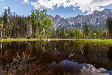 Yosemite Vadisi, Yosemite Ulusal Parkı, Kaliforniya, ABD 'deki Northside Yolu' ndaki su birikintisini yansıtan dağların görüntüsü, Mayıs 2023
