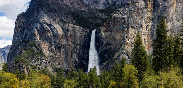 2023년 캘리포니아 요세미티 국립공원 Yosemite National Park 노스사이드 드라이브 풀라우트 로열티 프리 스톡 사진