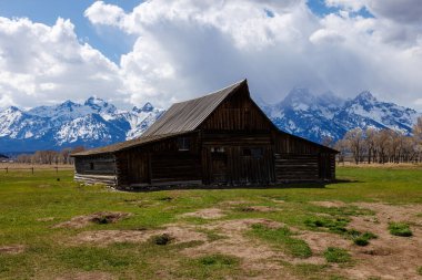 Asistanı. Baharda Jackson Hole Grand Teton Ulusal Parkı 'nın arka planında karla kaplı Teton Dağları olan Moulton ahırı