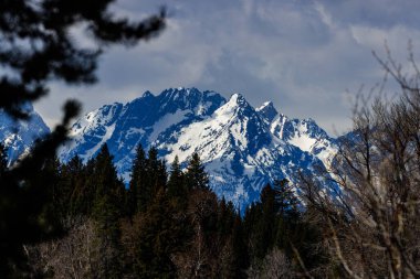 ABD 'nin Wyoming eyaletindeki Grand Teton Ulusal Parkı' nda yoğun bulut örtüsü ve ağaçlarla kaplı kar manzarası doğal bir çerçeve görevi gördü.  