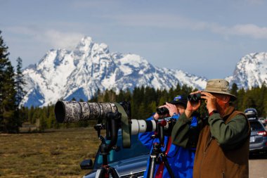 Colter Bay Village, Wyoming, ABD - 18 Mayıs 2023: Grand Teton Ulusal Parkı 'ndaki Pilgrim Creek yakınlarında araçlar ve fotoğrafçılar ünlü Boz Ayı 399' un ormandan çıkmasını bekliyorlar.. 