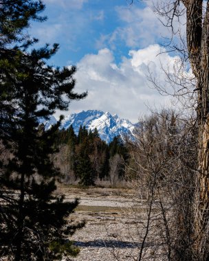 İki ağacın arasındaki uzaklıktaki kar manzaralı Teton dağları doğal bir çerçeve oluşturuyor..