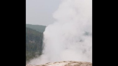 Yellowstone Ulusal Parkı 'ndaki eski sadık gayzerden sıcak su ve buhar geliyor. 