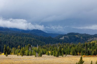 Bridger Teton Ulusal Ormanı 'ndaki çayır. Wyoming' de sonbahar boyunca fırtına bulutları var.