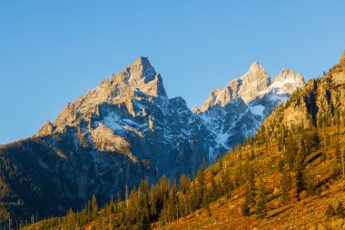 Grand Teton Ulusal Parkı 'ndaki Katedral Grubu dağlarında sonbahar boyunca kar yağışlı