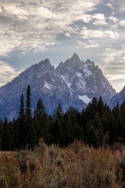 Grand Teton Ulusal Parkı 'ndaki Katedral Grubu Dağlarının dikey görüntüsü