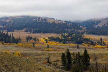 Yellowstone Ulusal Parkı 'nda sonbaharda sisli bir dağ manzarası.