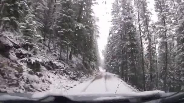 在大角山的大雪覆盖的山林路上开车 — 图库视频影像