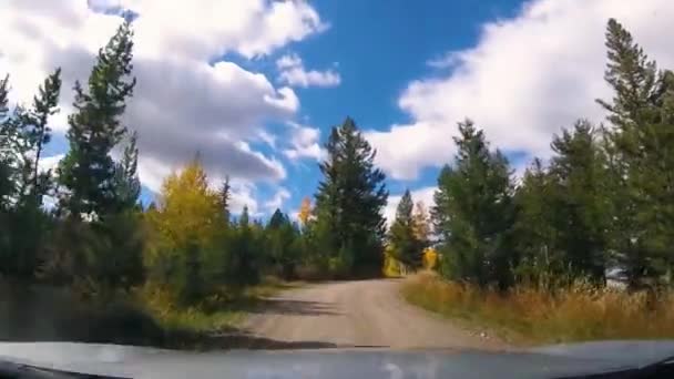 秋にワイオミング州西部のブリッジャー テトン国立森林の森林道路で運転する — ストック動画
