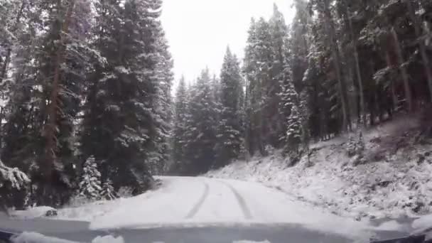 Driving Snow Covered Mountain Forest Road Pine Trees Camp Ground — Stock Video